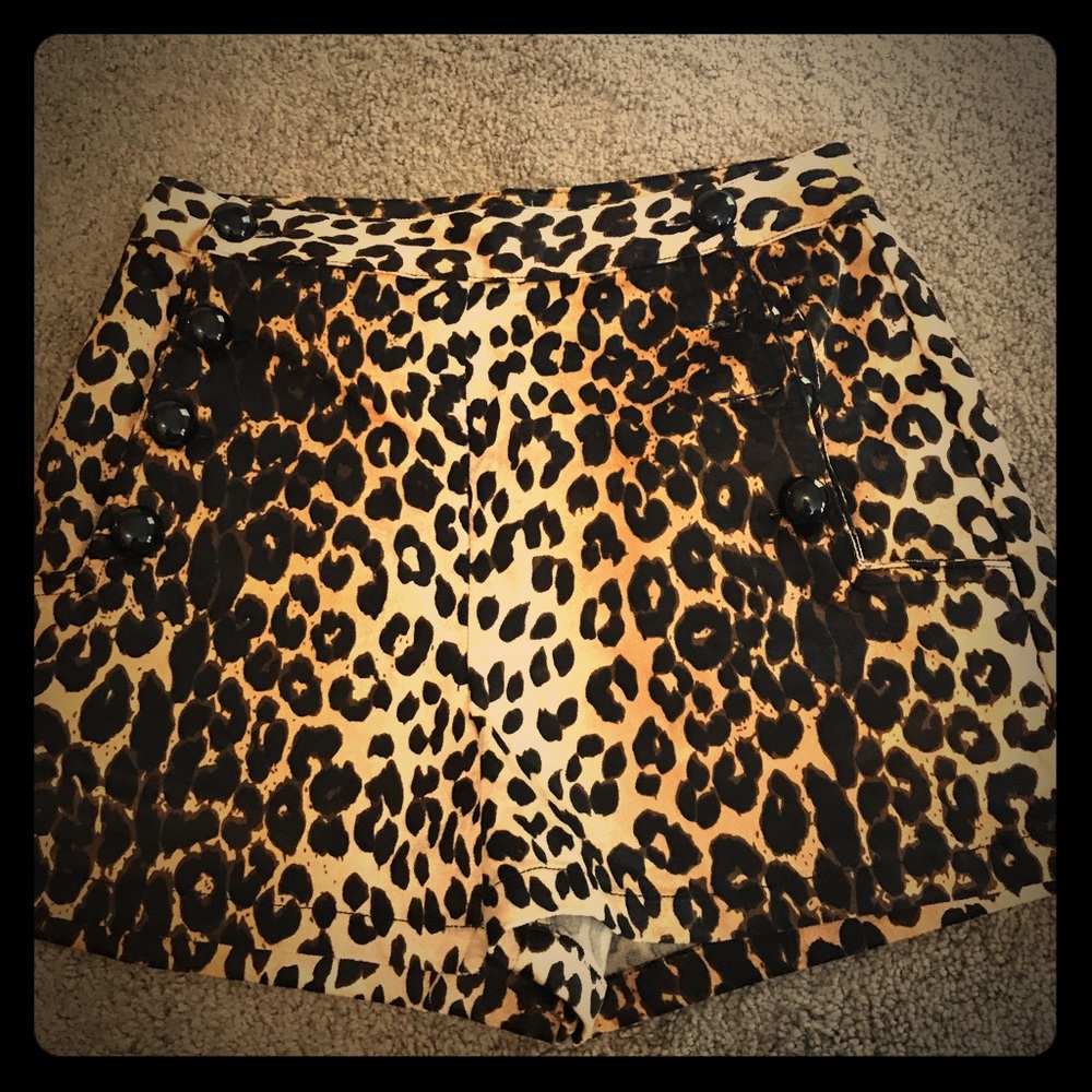 Gorgeous dressy shorts